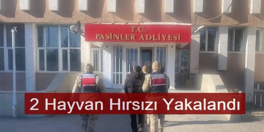 Erzurum'da hayvan hırsızlığı yapan 2 kişi yakalandı