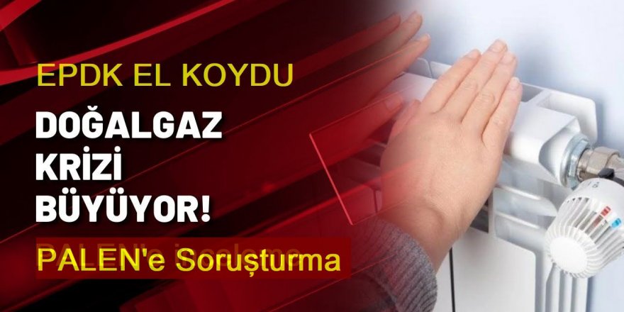 EPDK'den dağıtım şirketi PALEN'e soruşturma