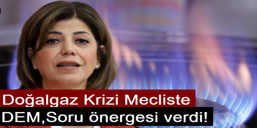 DEM Milletvekili Beştaş, Soru önergesi verdi!