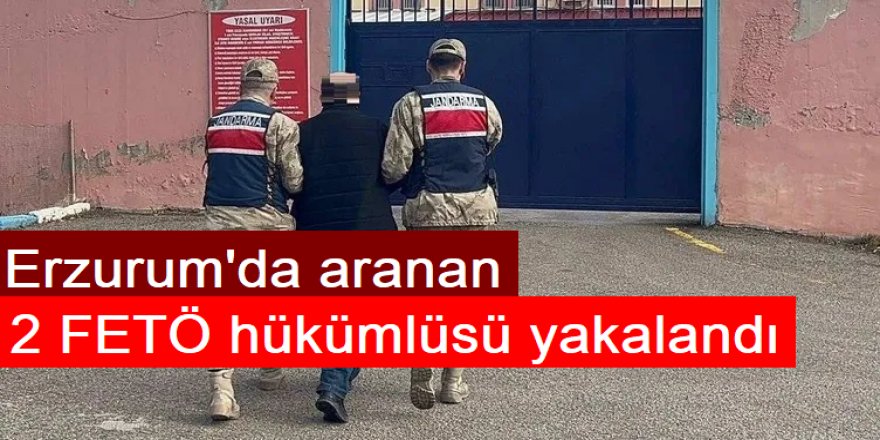 Erzurum'da aranan 2 FETÖ hükümlüsü yakalandı