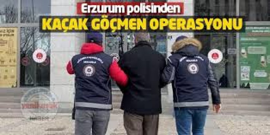 Erzurum'da 73 düzensiz göçmen yakalandı