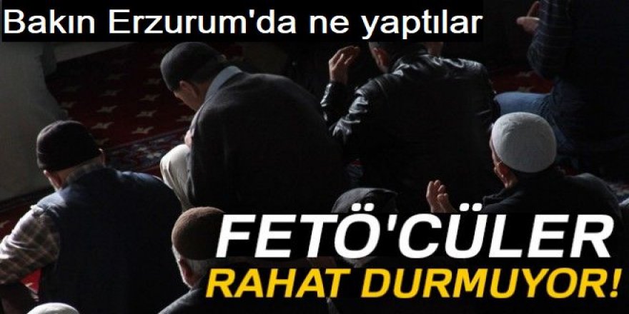 Erzurum'da FETÖ'nün yasaklı yayınlarını çoğaltarak dağıtılar