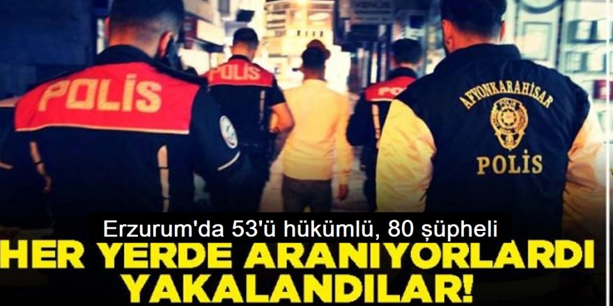 Erzurum'da 53'ü hükümlü, 80 şüpheli yakalandı