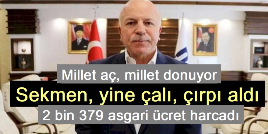 Başkan Sekmen, çalı çırpıya 2 bin 379 asgari ücret harcadı