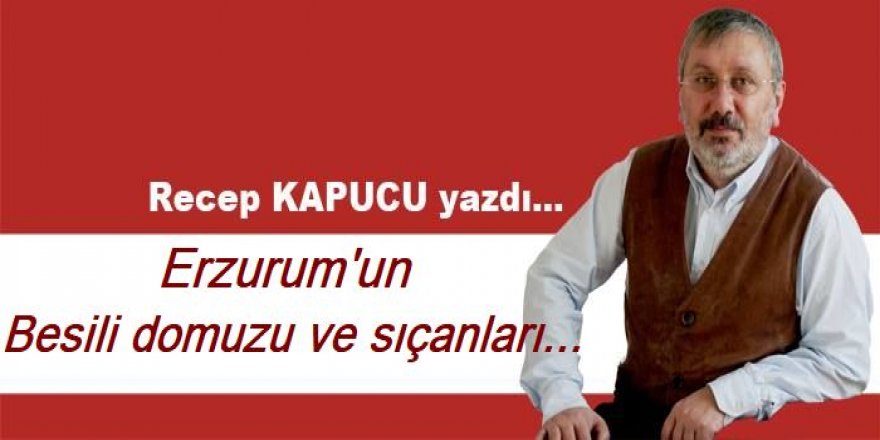 Erzurum'un besili domuzu ve sıçanları...