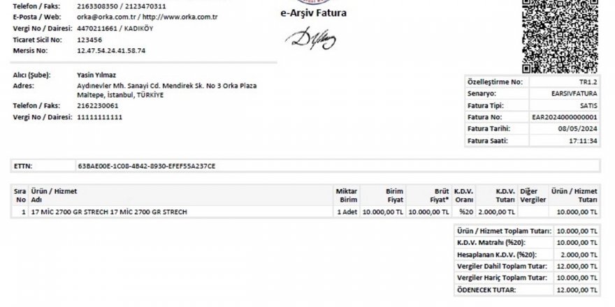E-Arşiv Fatura Süreçlerinde Dijital Dönüşümün Rolü