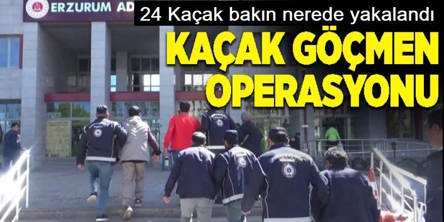 Gümrük mühürlü TIR’da 23 düzensiz göçmen yakalandı