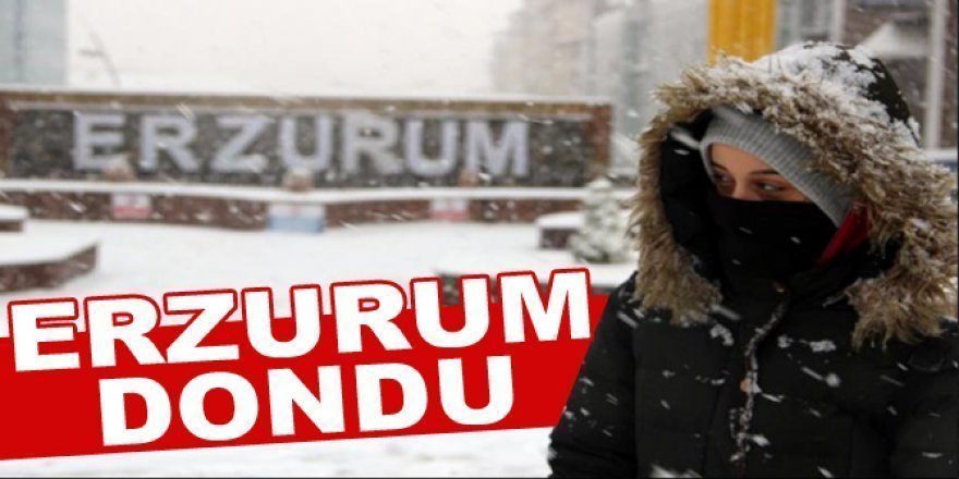 Erzurum'u yoğun kar yağışı!