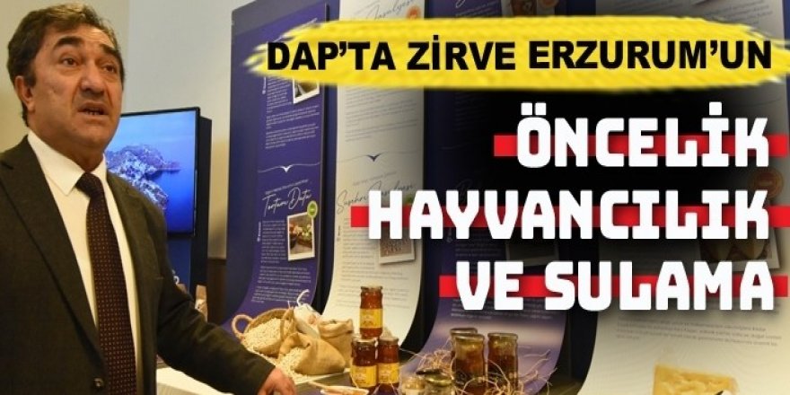 12 Yılda en fazla proje ve en büyük pay Erzurum'un oldu