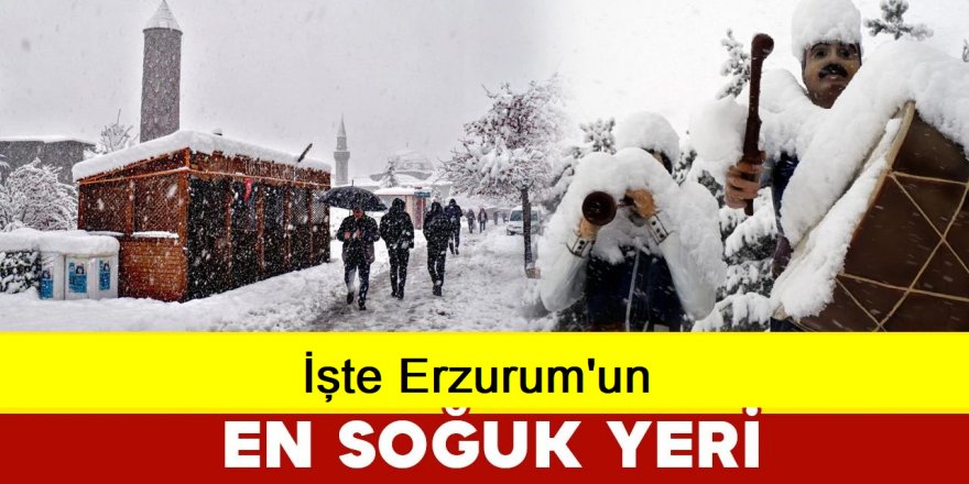 Türkiye'nin en soğuk yeri Erzurum oldu: - 32