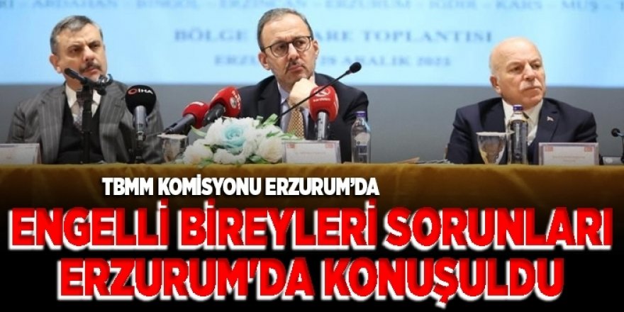 Engelli bireylerin sorunları Erzurum'da konuşuldu