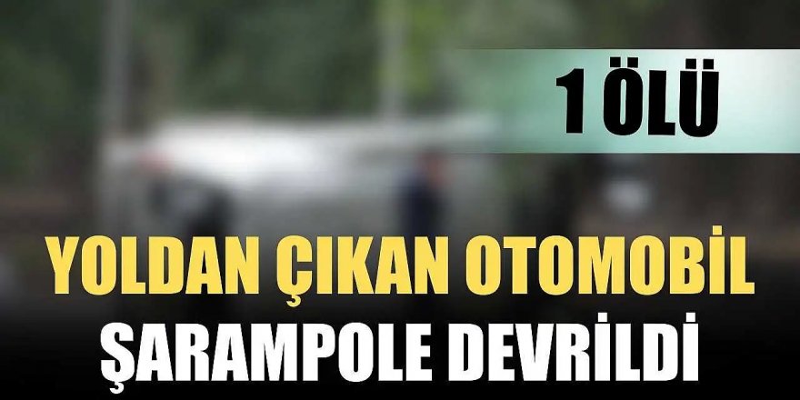 Erzurum'da Yoldan çıkarak devrilen otomobildeki 1 kişi öldü