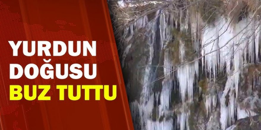 Yurdun doğusu buz tuttu