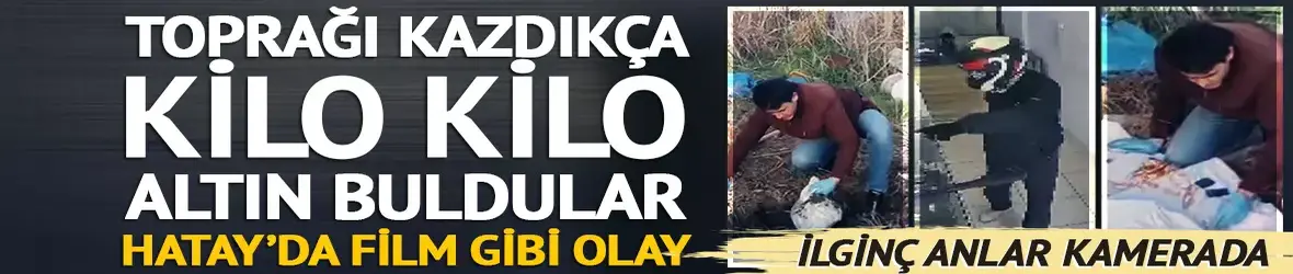 Toprağı kazdıkça altın buldular