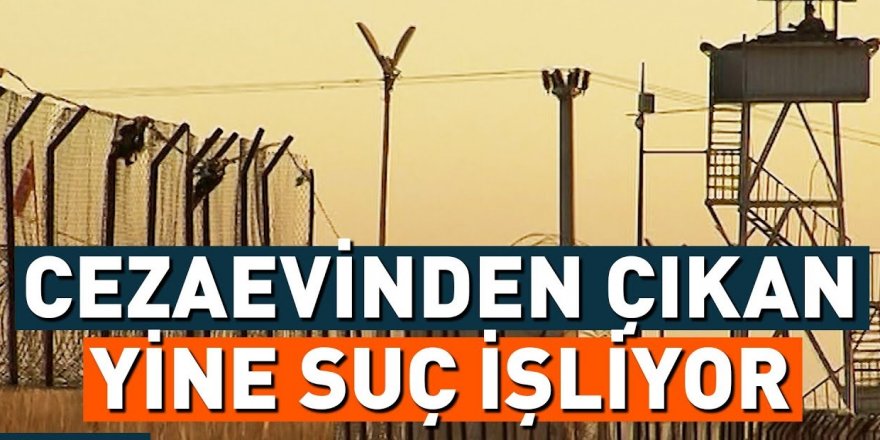 Cezaevinden çıkanların kaçı yeniden suç işliyor?