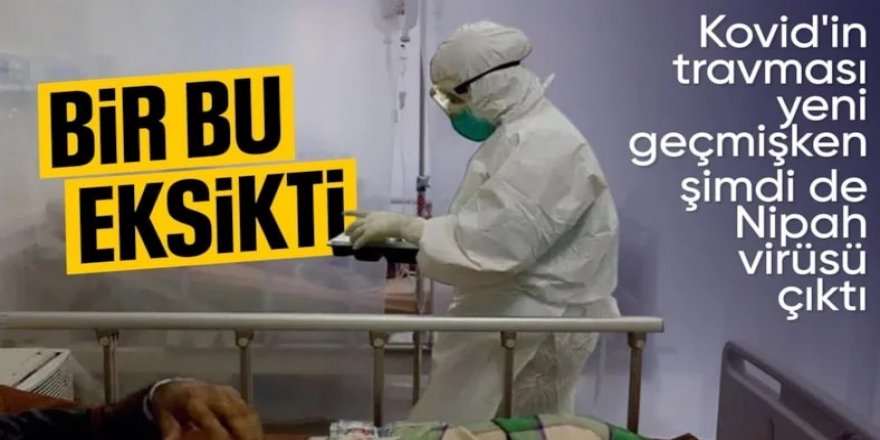 Hindistan'da görüldü: Nipah virüsü yayılıyor mu