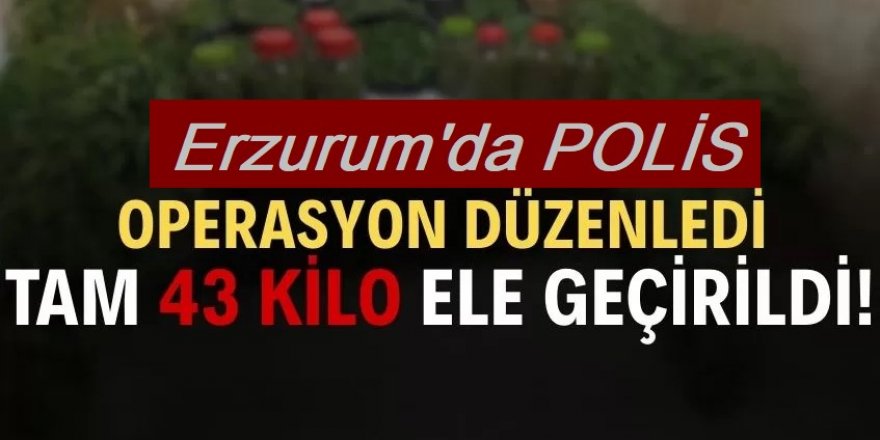 Erzurum'da geçen ay 43 kilogram uyuşturucu ele geçirildi!