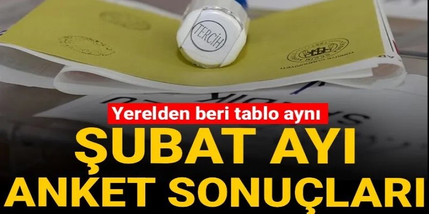 Şubat ayının anket sonuçları: Yerelden beri tablo aynı