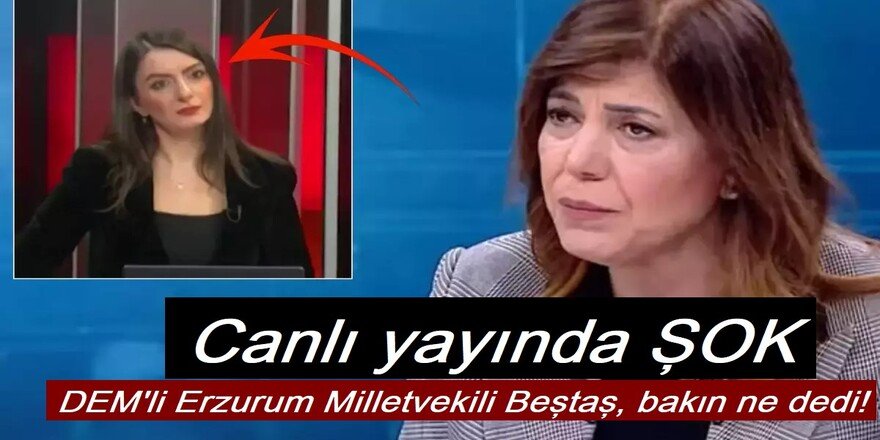 DEM'li Meral Danış Beştaş'ın Öcalan için yaptığı benzetme sunucuyu da şaşırttı
