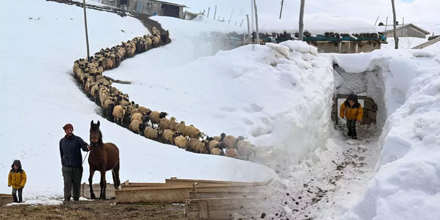 Eksi 30 derecede yaşam mücadelesi