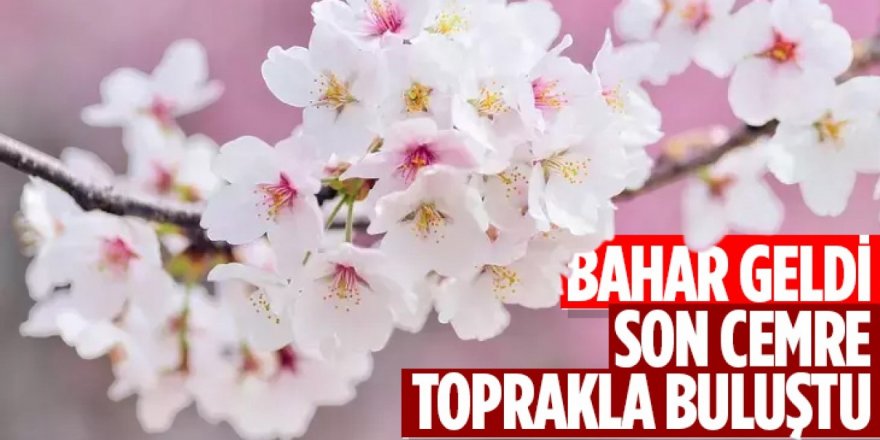 Son cemre toprakla buluştu