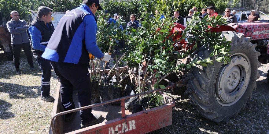 Zirai Dondan Zarar Gören Üreticilere Fidan Desteği