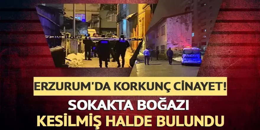 Erzurum'da Sokakta boğazı kesilerek öldürülmüş halde bulundu! Bir şüpheli yakalandı