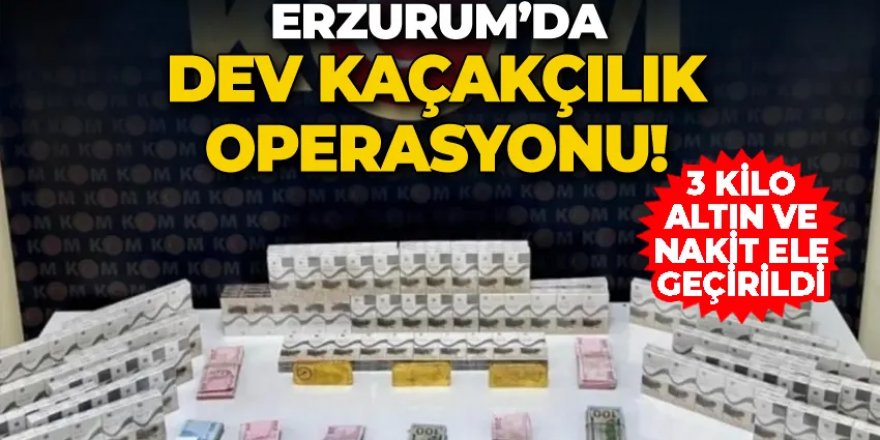 Kaçakçılık operasyonunda 3 kilo altın ele geçirildi