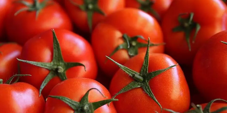 Kilosunu 40 TL'den alıp 5 katı fiyatına sattılar!