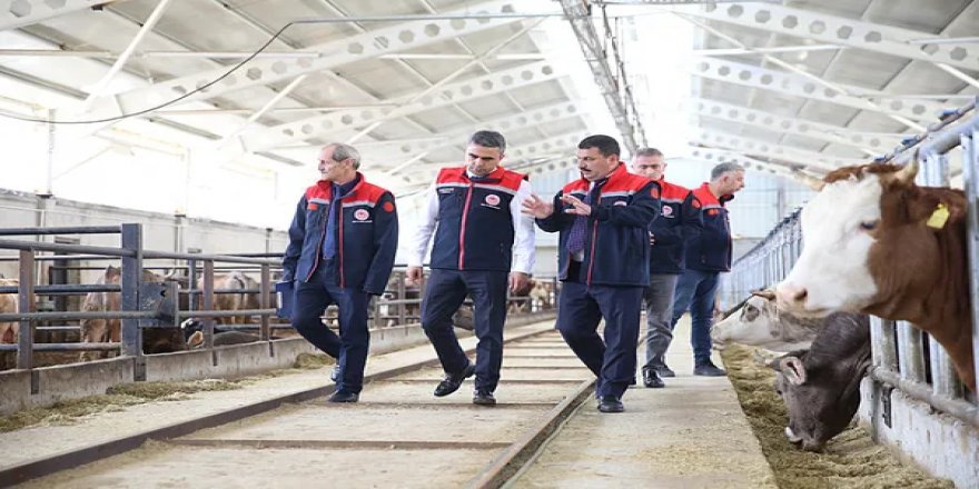 Modern ahırlar Erzurum'da devlet destekleriyle yaygınlaşıyor