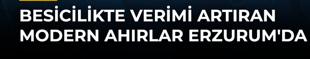 Modern ahırlar Erzurum'da devlet destekleriyle yaygınlaşıyor