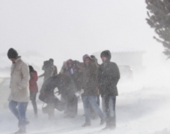 Erzurum'da tatil isteği!