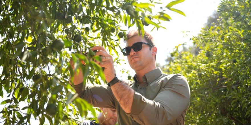 Mandalin Üreticisine 5 Milyon Kazanç