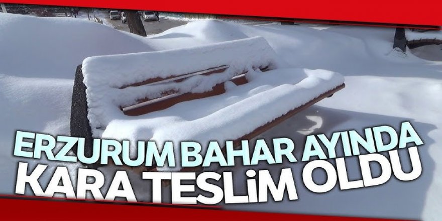 Erzurum'da bahar karı etkili oldu