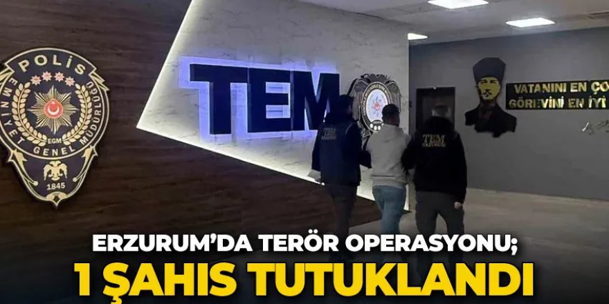 Erzurum'da terör operasyonu; 1 destekçi tutuklandı
