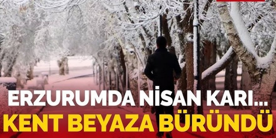 Erzurum'da kar yağışı etkili oldu: Çevre illerle bağlantı kesildi
