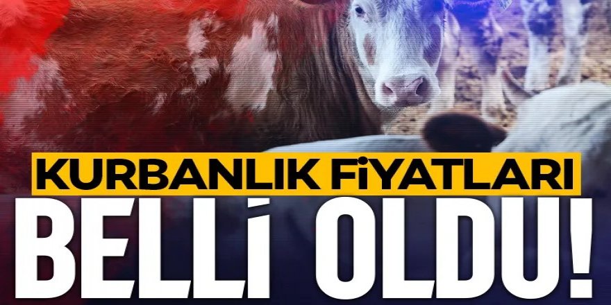 300 bin TL'ye de var 30 bin TL'ye de!