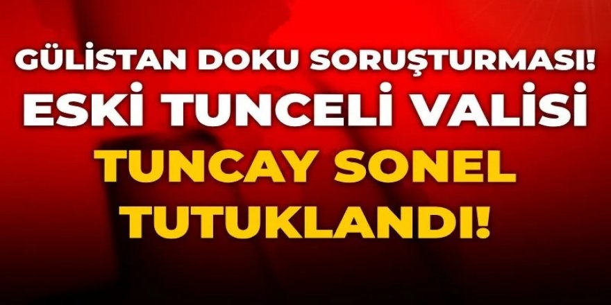 Gülistan Doku soruşturması: Eski Tunceli Valisi Tuncay Sonel tutuklandı