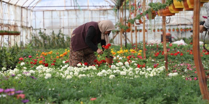 Muğla’da Üretici Kadınlar Meclisi Kuruluyor