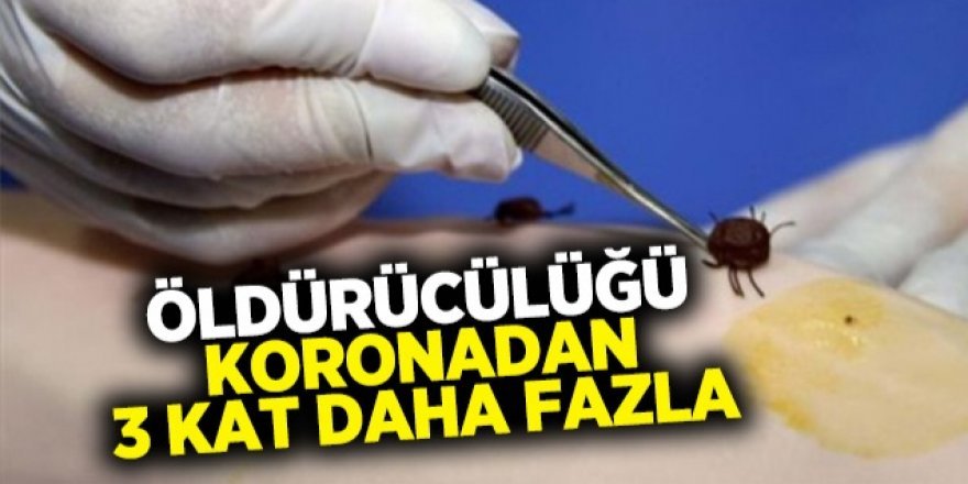 Ölüm ve vakalar peş peşe! Erzurum için uyarı geldi