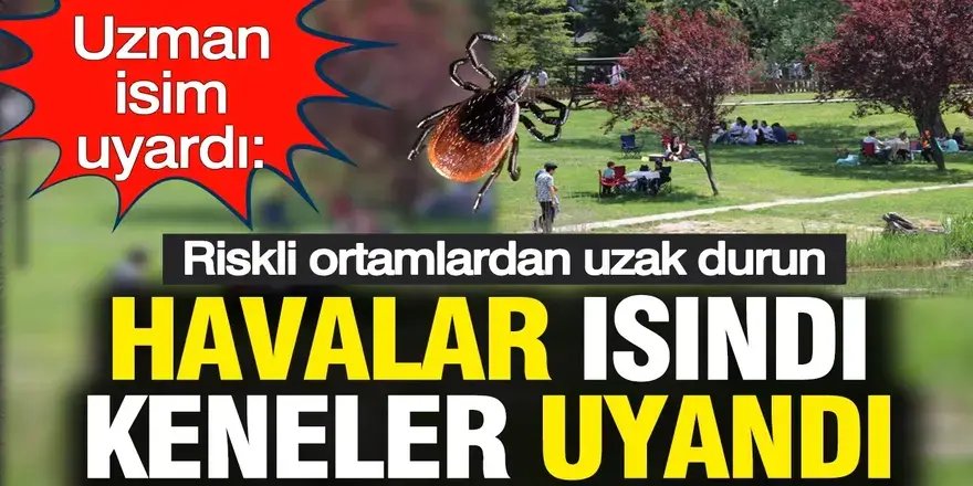 Isınan havalarla kene riski arttı: Uzmanlardan hayati uyarılar