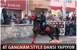 Gangnam dansı yapan at