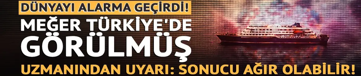 Dünyayı alarma geçiren Hantavirüs meğer Türkiye'de görülmüş!