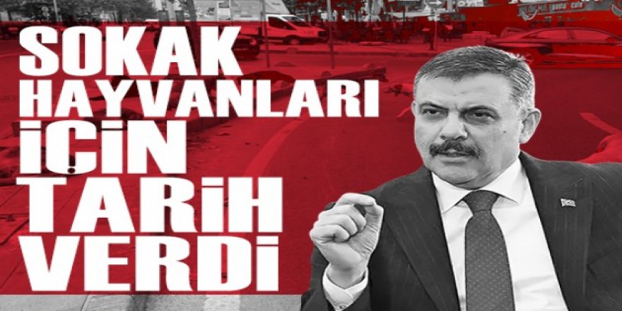 Bakan Çiftçi, Erzurum'u örnek gösterip tarih verdi