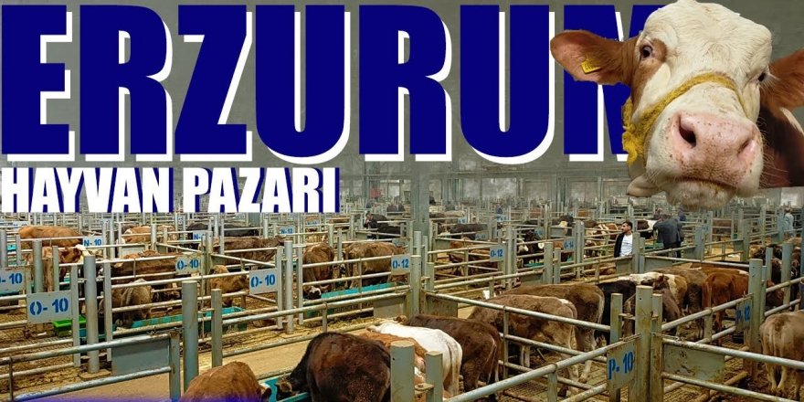 Kurbanlık fiyatları yüzde 50 arttı