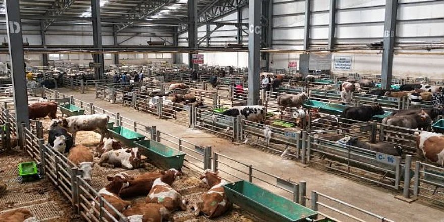 Tarım ve hayvancılıkta Erzurum modeli