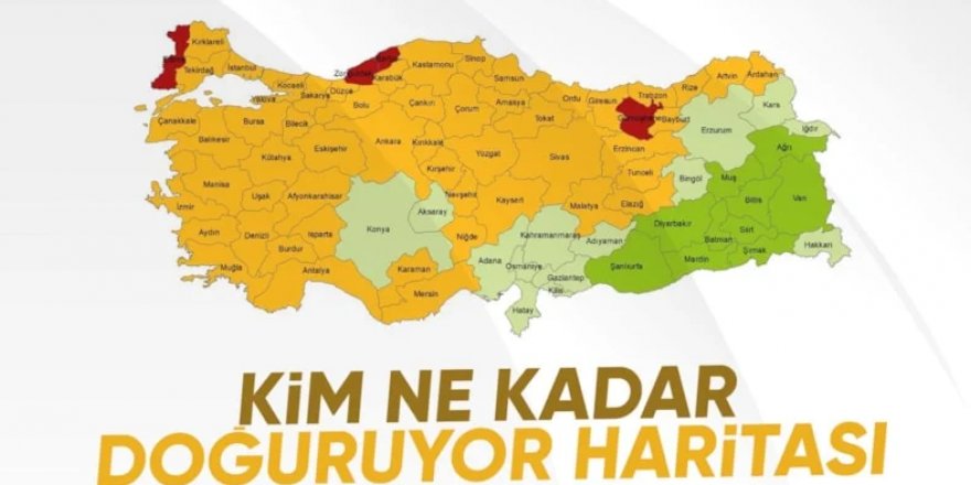 Doğurganlık hızı düştü! Geçen yıl 895 bin 374 bebek doğdu