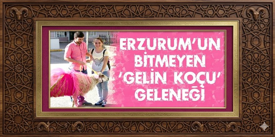 Erzurum'da 'Gelin Koçu'  geleneği sürüyor