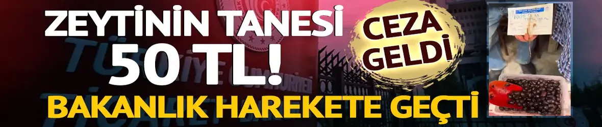 Zeytinin tanesi 50 TL: Bakanlık harekete geçti, para cezası geldi