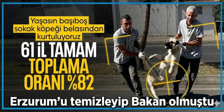 Mustafa Çiftçi: Başıboş sokak köpeği sorunu çözüme kavuşuyor